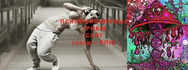 бошки Аркадак