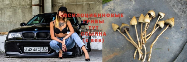 гидра Армянск