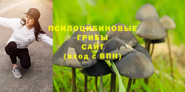 гидра Армянск