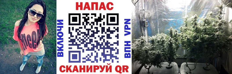 блэк спрут рабочий сайт  Ахтубинск  Канабис OG Kush 
